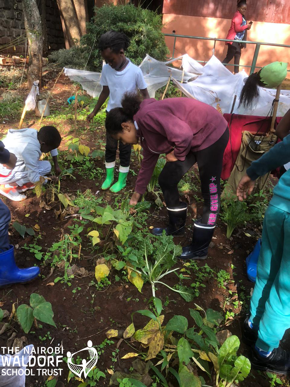 Our Unique Essence - Gardening In Waldorf Grade 3