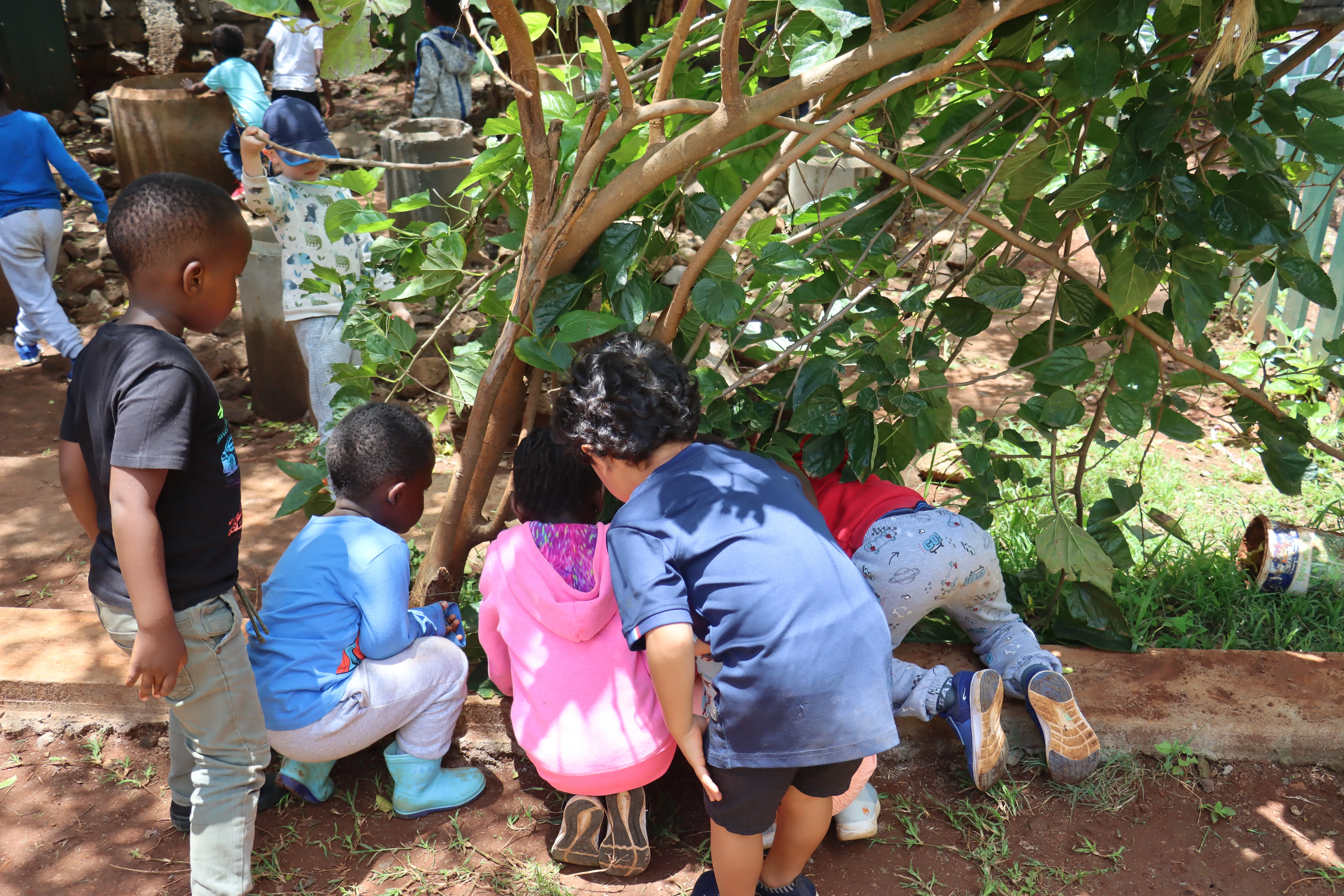 Kindergarten Curriculum - Gardening