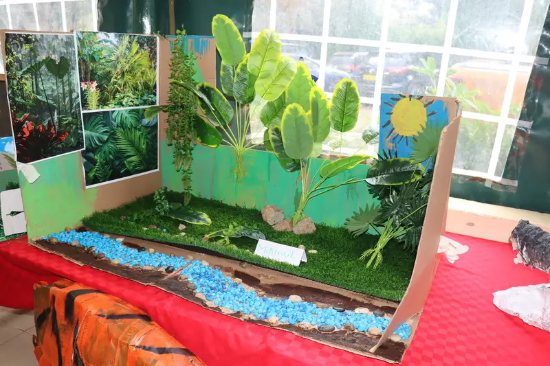 Embracing Creativity and Craftsmanship at NWST