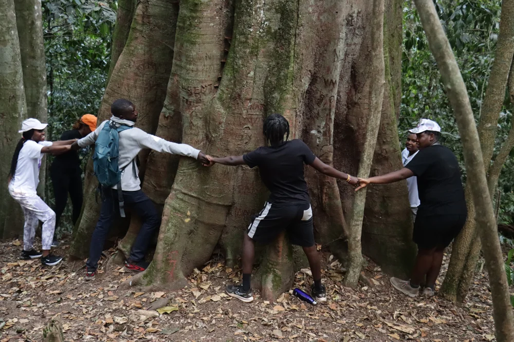 School Trips 2